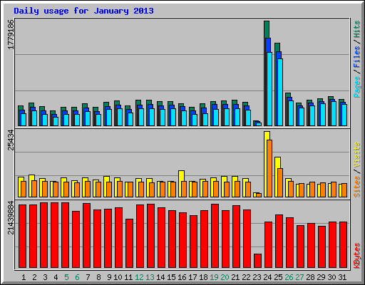 Daily usage for January 2013