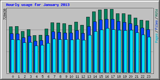 Hourly usage for January 2013