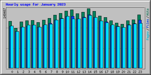 Hourly usage for January 2023
