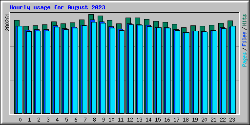 Hourly usage for August 2023