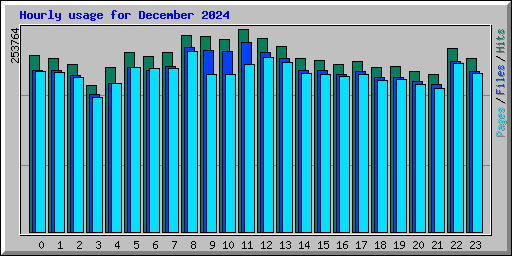 Hourly usage for December 2024