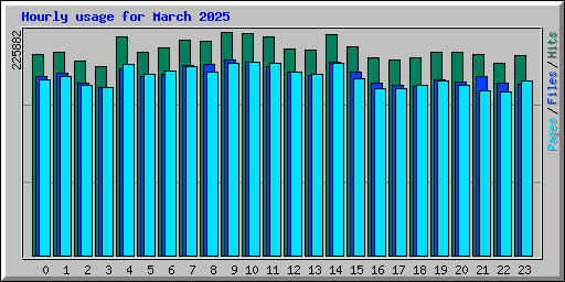 Hourly usage for March 2025