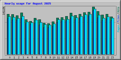 Hourly usage for August 2025