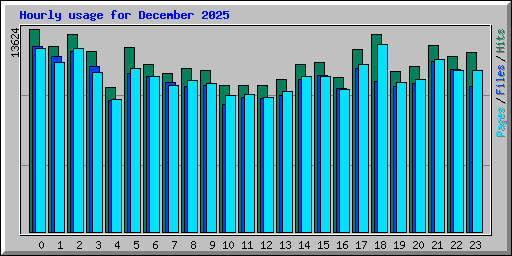 Hourly usage for December 2025