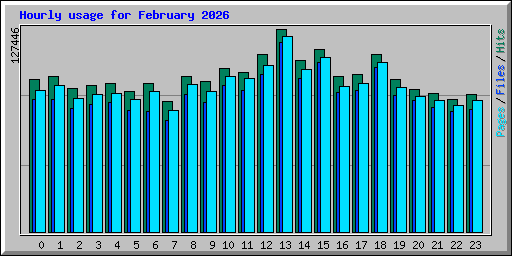 Hourly usage for February 2026