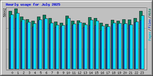 Hourly usage for July 2025