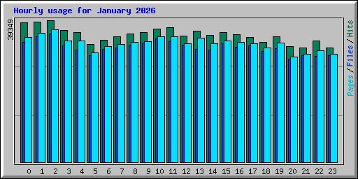 Hourly usage for January 2026